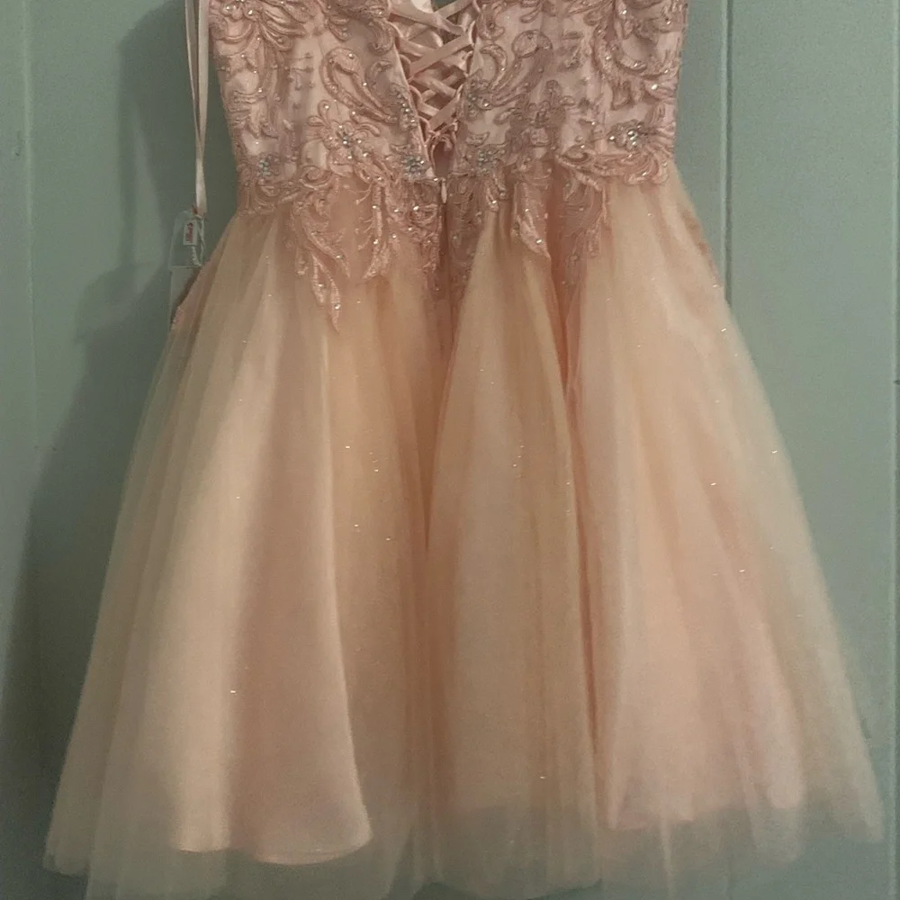 Pink Dress - Picture 6 of 7